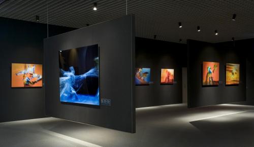 Musée Olympique, Lausanne, 2010